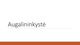 Augalininkystė skaidrės