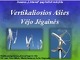 Vertikaliosios ašies vėjo jėgainės