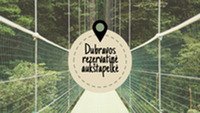 Dubravos rezervatinė pelkė 1