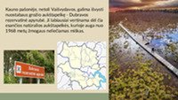 Dubravos rezervatinė pelkė 2