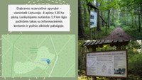 Dubravos rezervatinė pelkė 3
