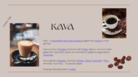 Skaidrės apie kavą ir arbatą Istorija Auginimas 2