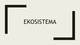 Ekosistema Ekologiniai lygmenys