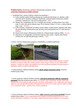 Gamtinių veiksnių įtaka transporto veiklai uždavinys