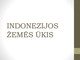 Indonezijos žemės ūkis
