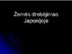 Žemės drebėjimas Japonijoje skaidrės