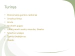 Ekstremalūs gamtos reiškiniai Lietuvoje 2