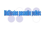 Didžiosios pasaulio pelkės 1