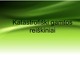Katastrofiški gamtos reiškiniai