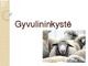 Gyvulininkystė pristatymas