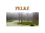 Pelkė skaidrės 1