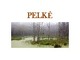 Pelkė skaidrės