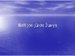 Baltijos jūros žuvys 1