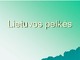 Lietuvos pelkės