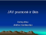 JAV pramonė ir ūkis 1