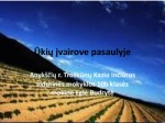 Ūkiai skaidrės 1