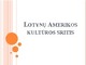 Lotynų Amerikos kultūros sritis