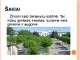 Šakiai skaidrės