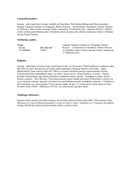 Ispanija referatas 2