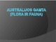 Australijos gamta (Flora ir Fauna)