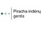Piracha indėnų gentis