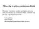 Mineralų ir uolienų susidarymo būdai
