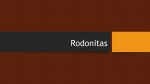Rodonitas skaidrės 1