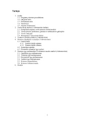 Informacinės sistemos projektas ir analizė 1