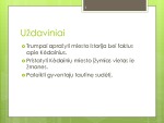 Mano gimtasis miestas Kėdainiai 3