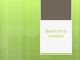 Elektroninis parašas projektas 
