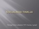 Socialiniai tinklai: nauda ir žala