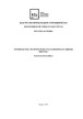 Informacinių technologijų panaudojimas įvairiose srityse
