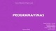 Programavimas
