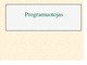 Skaidrės apie programuotojo profesiją
