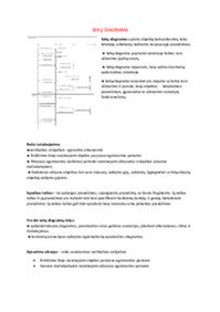 Programų sistemos inžinerijos pagrindai konspektas 1