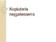 Kompiuteris neįgaliesiems