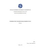 Informacinių technologijų raidos etapai