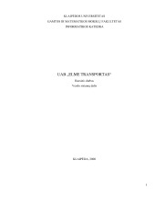 Transporto įmonės informacinė sistema 1
