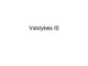 Valstybes informacines sistemos