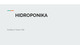 Skaidrės apie Hidroponikos sistemas