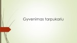 Gyvenimas tarpukariu skaidrės 1