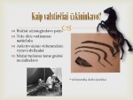 Sunkus gyvenimas viduramžiais kaime 2