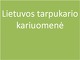 Lietuvos tarpukario kariuomenė skaidrės