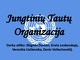Jungtinių Tautų Organizacija namų darbas