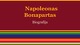 Napoleonas Bonapartas Biografija 