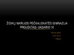 Vasario 16 Projektas 1