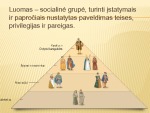 LDK luomai skaidrės 2