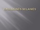Ekologinės nelaimės skaidrės