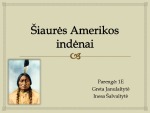 Šiaurės Amerikos indėnai istorijos skaidrės 1
