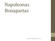 Napoleonas Bonapartas referatas (2)